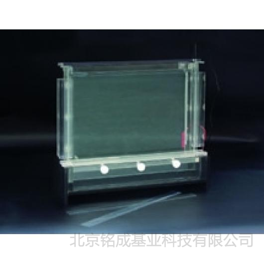 北京六一-DNA序列分析电泳槽DYCZ-20C